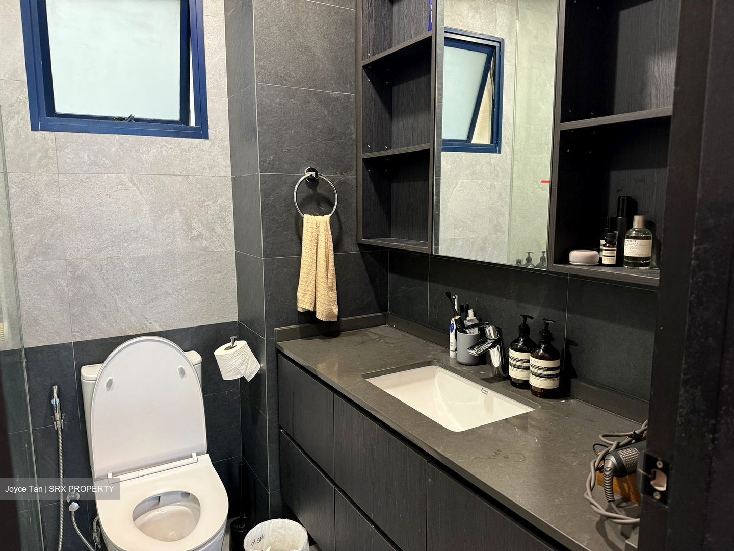 Nineteen Shelford Road (D11), Condominium #447063451